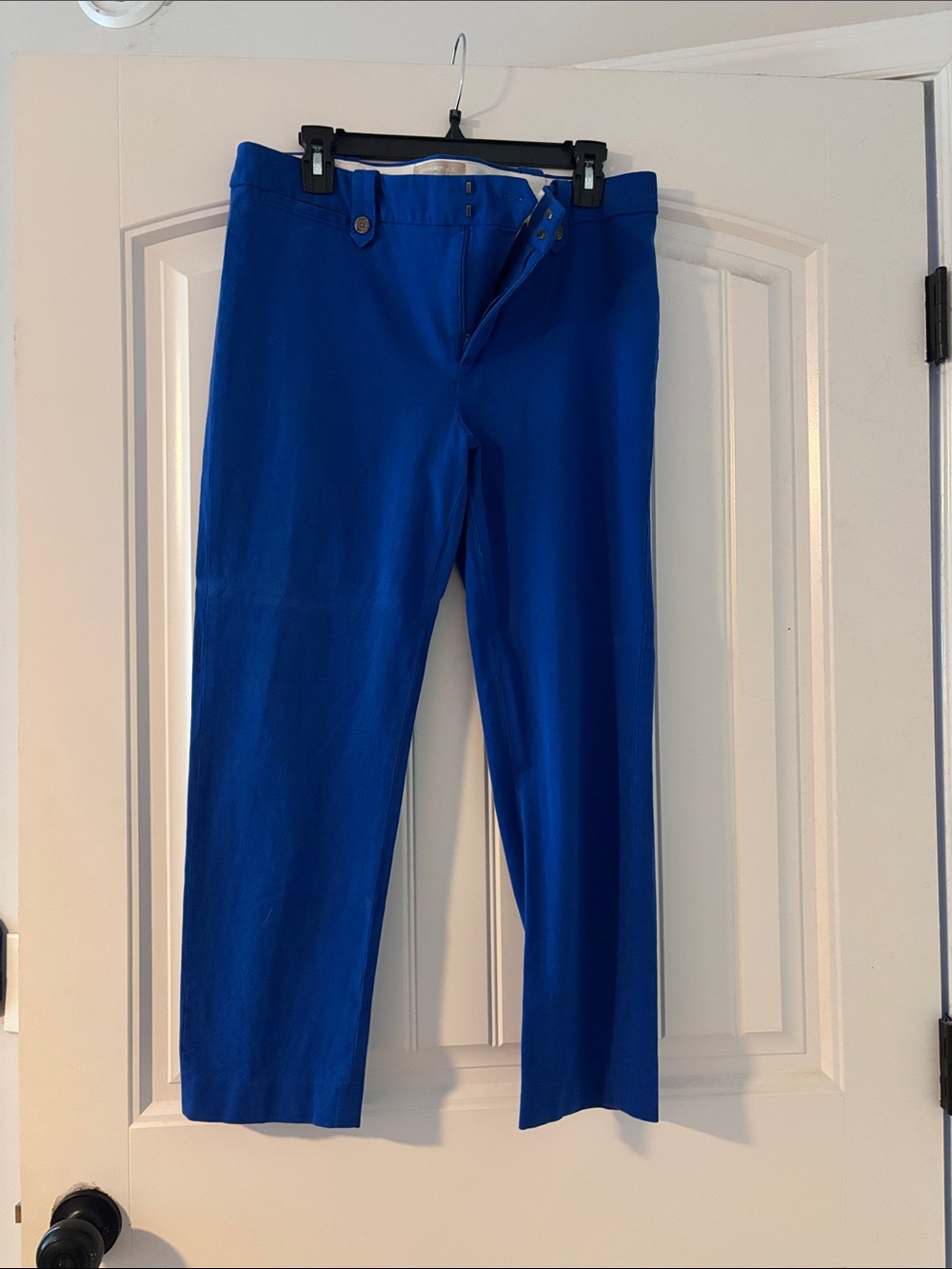 Banana Republic Royal Blue Cropped Ankle Pants